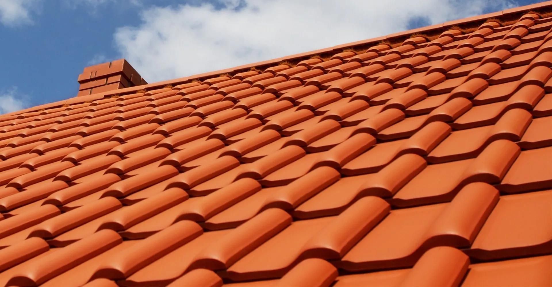 Professional Roofing Consultation by Ply-Board